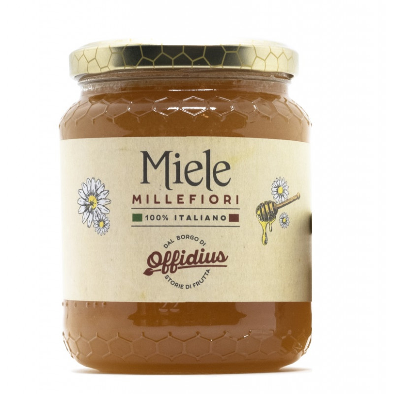 Miele Millefiori di montagna, ambrato dall'aroma zuccherino - 500 gr - Offidius