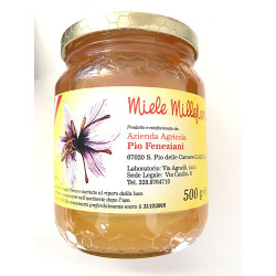 Azienda Agricola Feneziani - wildflower honey - 500 gr