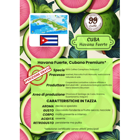 30 Cialde ESE 44mm - Cuba, Havana Fuerte - 99 Caffè