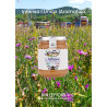 Miele Millefiori 250 gr - Apicoltura Luca Finocchio